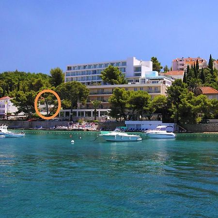 Apartments Rina Cavtat Zewnętrze zdjęcie